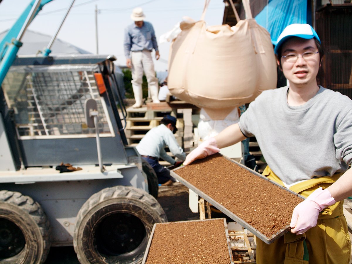 今野醸造の味噌用原料米：味噌づくりを支える自社栽培米