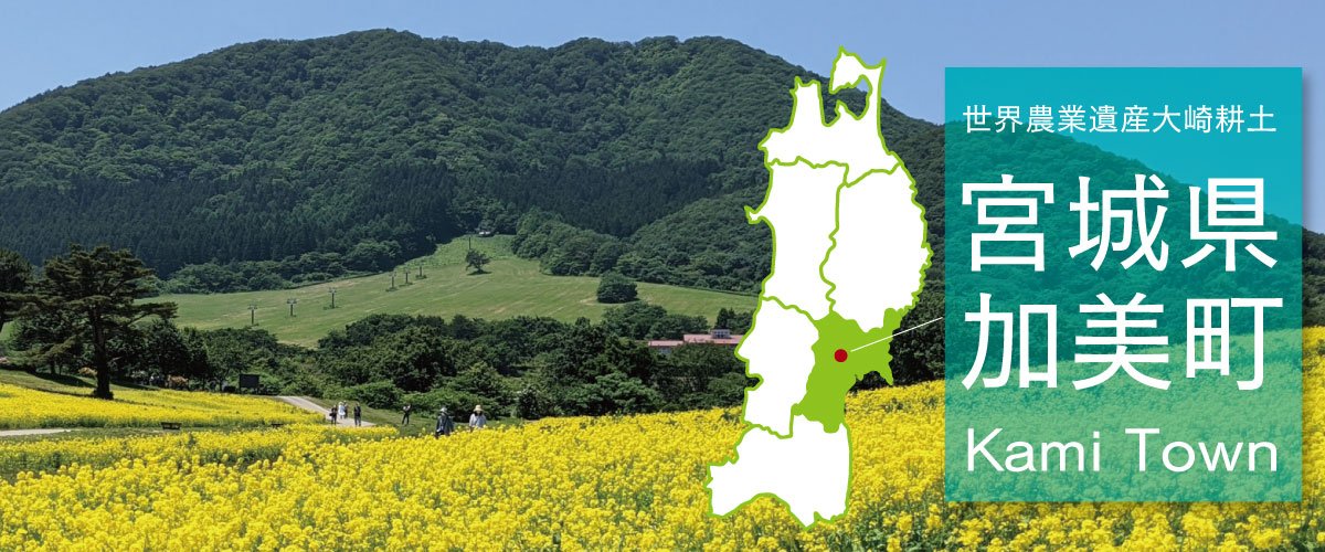 kamitown.jpg