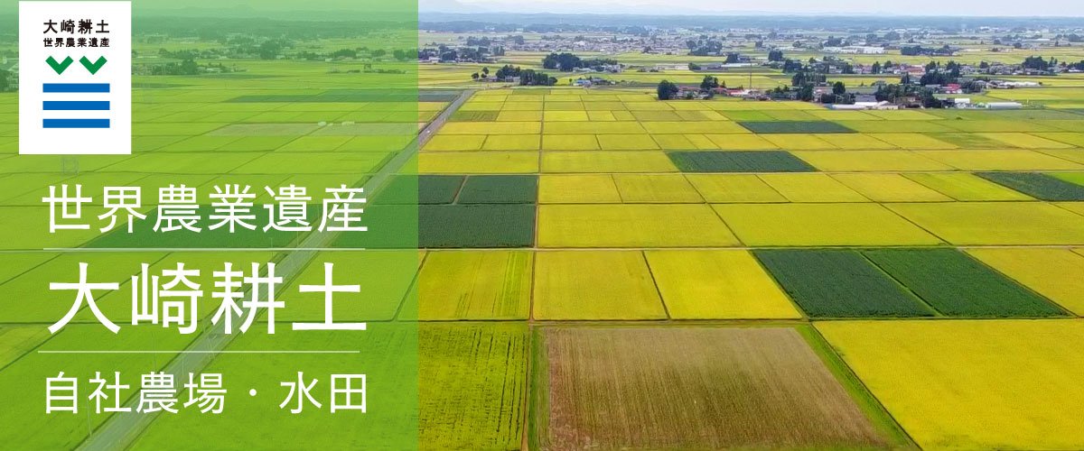 世界農業遺産・大崎耕土の豊かな自然が育む今野醸造の味噌