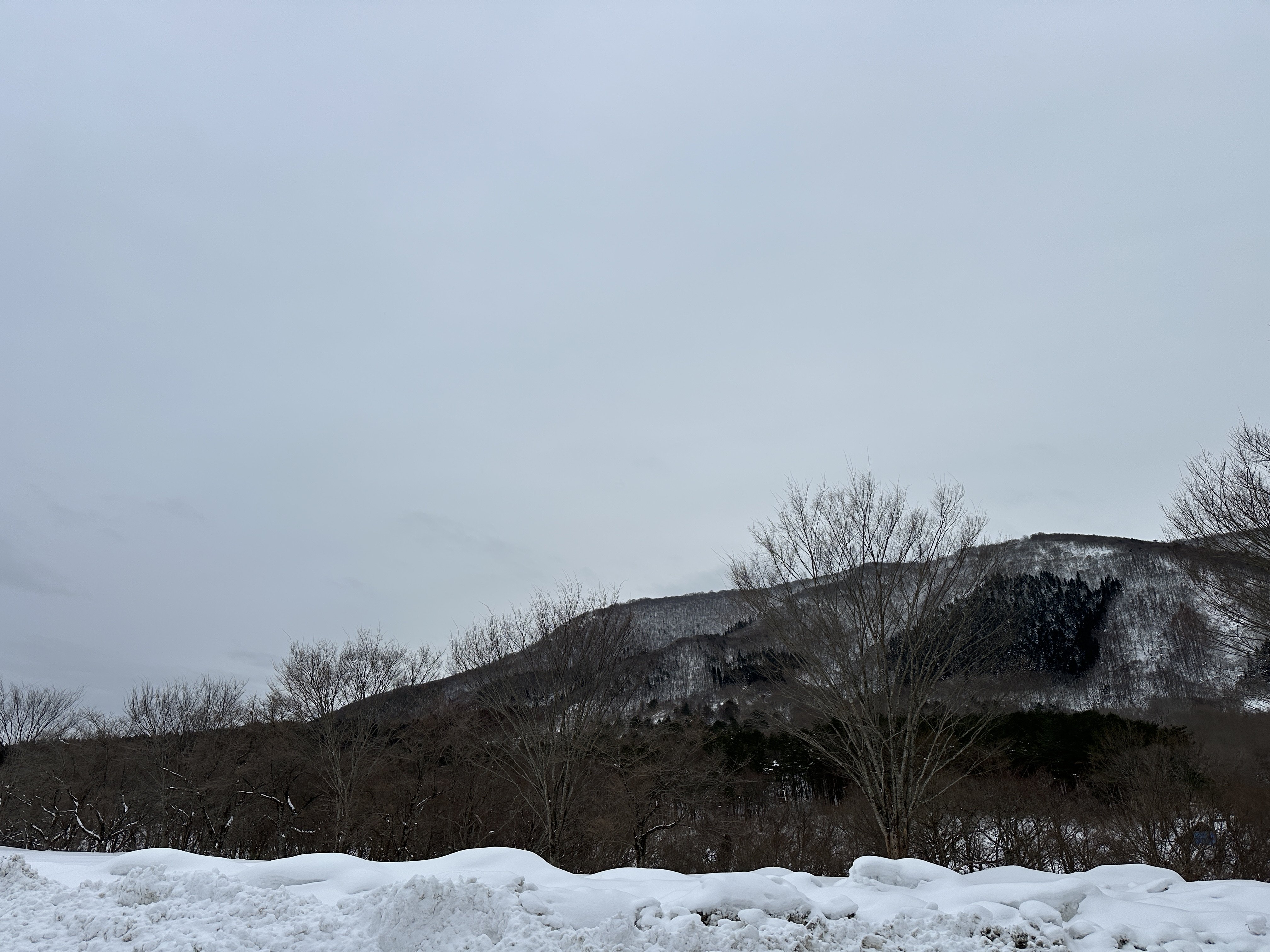 IMG_2745.jpeg